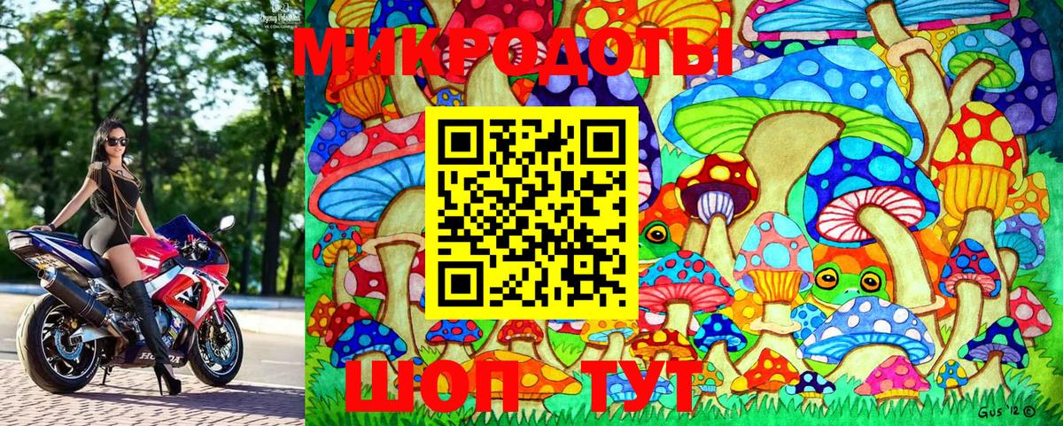 Псилоцибиновые грибы Magic Shrooms  Вход с VPN  Елабуга 